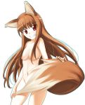  animal_ears brown_hair chikugen_shiina holo horo long_hair nude red_eyes spice_and_wolf tail wolf_ears 