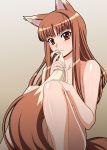  animal_ears holo horo isse nude spice_and_wolf tail wolf_ears 