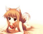  1girl animal_ears apple apples beauty_love brown_hair food fruit holding holding_apple holding_fruit holo horo long_hair lying nipples nude red_eyes spice_and_wolf tail wolf_ears 