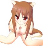  1girl breasts censored cum holo horo long_hair nude paizuri penis solo_focus spice_and_wolf tail 