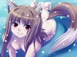  1girl animal_ears barefoot breasts brown_hair fang feet female fujirin grass holo horo long_hair nipples nude outdoors outside red_eyes snow soles solo spice_and_wolf tail toes wolf_ears zenra 