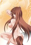  animal_ears breasts brown_hair highres holo horo long_hair nipples nude spice_and_wolf tail torimochi wolf_ears wolf_tail 