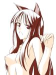  animal_ears breasts holo horo nude ribi spice_and_wolf wolf_ears 