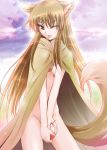  1girl ;p animal_ears apple apples brown_hair cape food fruit holo horo long_hair naked_cape nude one_eye_closed red_eyes shiroi_noria solo spice_and_wolf tail tongue tongue_out wink wolf_ears 