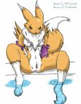  1_anthro 1_female 1_female_anthro 1_girl 2002 3_toes anthro anthro_canine anthro_fox anthro_vixen arm_warmers artist_name blue_eyes breasts canine detached_sleeves digimon female female_anthro female_anthro_fox female_renamon fox fur furry labia looking_at_viewer medium_breasts nipples nude pussy renamon sitting solo spread_legs spreading syrinoth tail toei_animation vagina vixen water white_fur yellow_fur yin_yang 