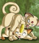  meowth persian pokemon zanthia zanthu 