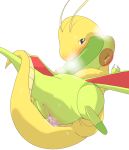  dragonite flygon pokemon tagme 