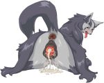  1girl aftersex anus ass blush cum cumdrip fat_mons fur furry looking_at_viewer looking_back mightyena nezumi nezunezu open_mouth pokemon pussy red_eyes simple_background solo tail tongue white_background 