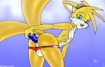 1boy anal anal_masturbation anthro anthro_only dildo_in_ass mainnm-e male male_only miles_&quot;tails&quot;_prower multiple_tails sega sonic_(series) sonic_the_hedgehog_(series) tail toying_self