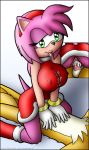  amy_rose knownvortex miles_&quot;tails&quot;_prower multiple_tails sega sonic_(series) sonic_team tail 