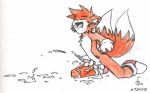  miles_&quot;tails&quot;_prower multiple_tails sega sonic_(series) sonic_team tail yaoi 