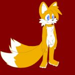  animated furry gif male_only miles_&quot;tails&quot;_prower multiple_tails sega sonic_(series) sonic_team tail 
