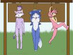  amy_rose blaze_the_cat crossover furry hanged krystal nintendo sega sonic_(series) sonic_team star_fox 