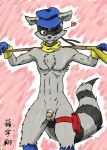  1boy furry male male_only sly_cooper sly_cooper_(series) solo tagme zenmigawa 