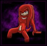  knuckles_the_echidna sega sonic_(series) sonic_team spacefoxy yaoi 