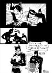  batman batman_(series) bruce_wayne catwoman dc dc_comics robin selina_kyle tim_drake 