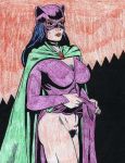 artist_request batman_(series) catwoman dc dc_comics selina_kyle tagme 