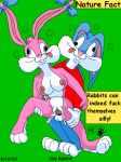 babs_bunny breasts buster_bunny cum cum_drip cum_inside erect_nipples erection hairless_pussy internal_cumshot kthanid nipples nude penis pussy spread_legs tiny_toon_adventures vaginal warner_brothers